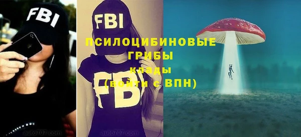 гидра Саяногорск