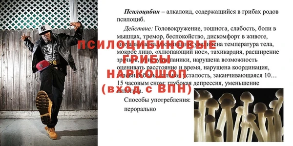 трава Балахна