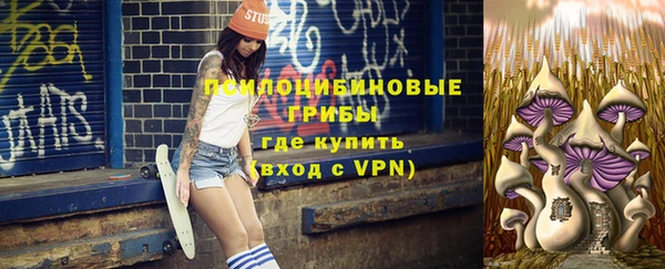 трава Балахна